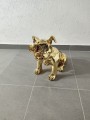 złoty buldog.jpg
